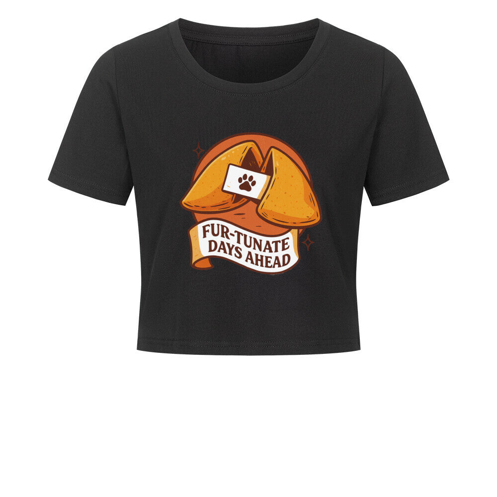 75910218-9a1f-4dac-aa7c-16675eab7f8b